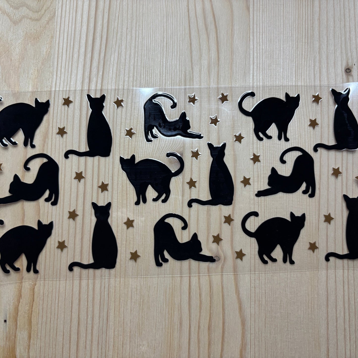 Playful Cats