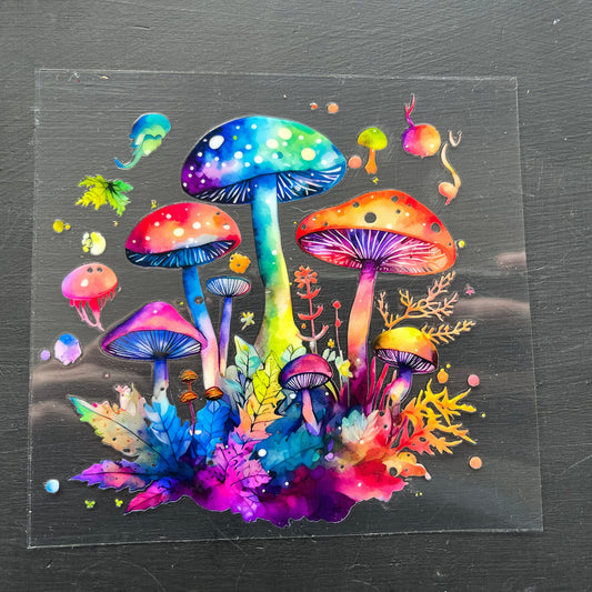 Rainbow Mushroom Fantasy