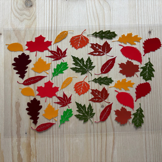 Its Time for Autumn