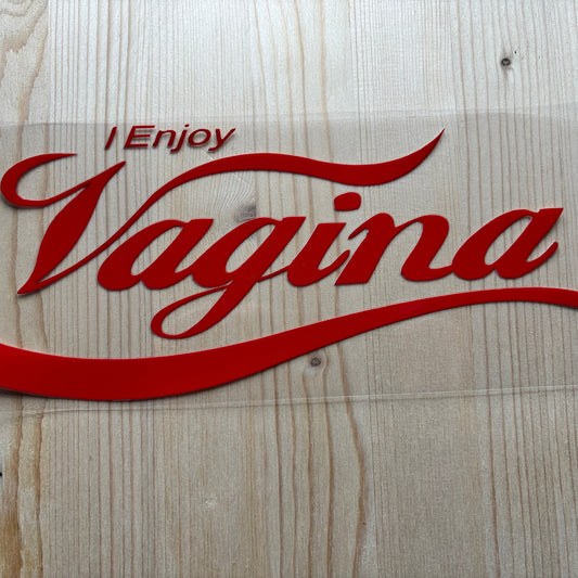 I Enjoy Vagina