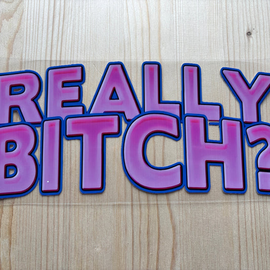 Really B*tch?
