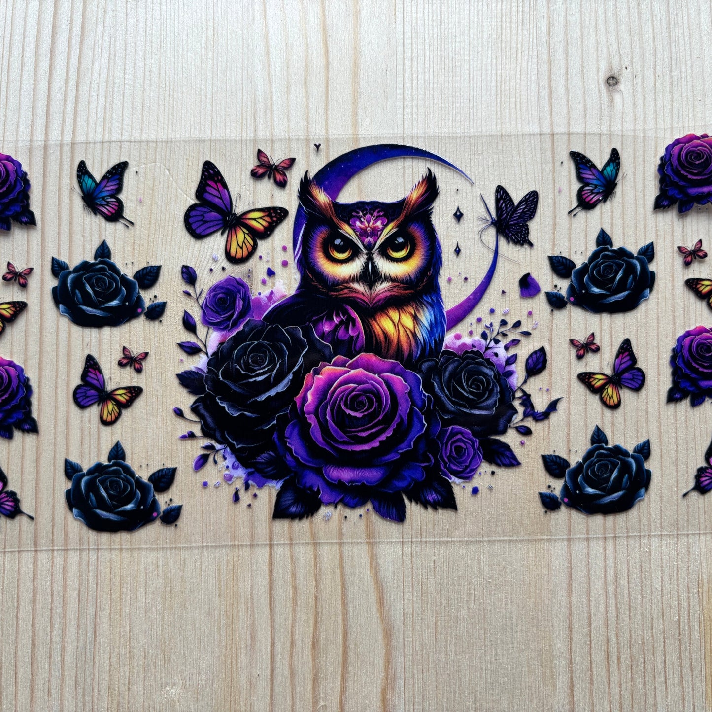 Enchating Owl