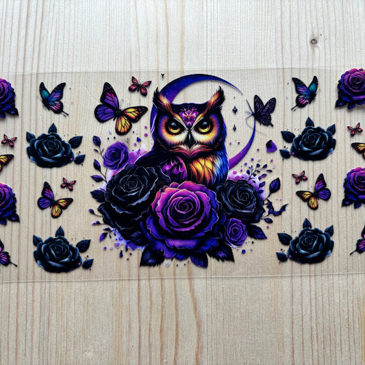 Enchating Owl
