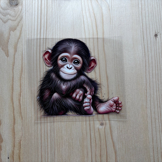 Baby Chimp