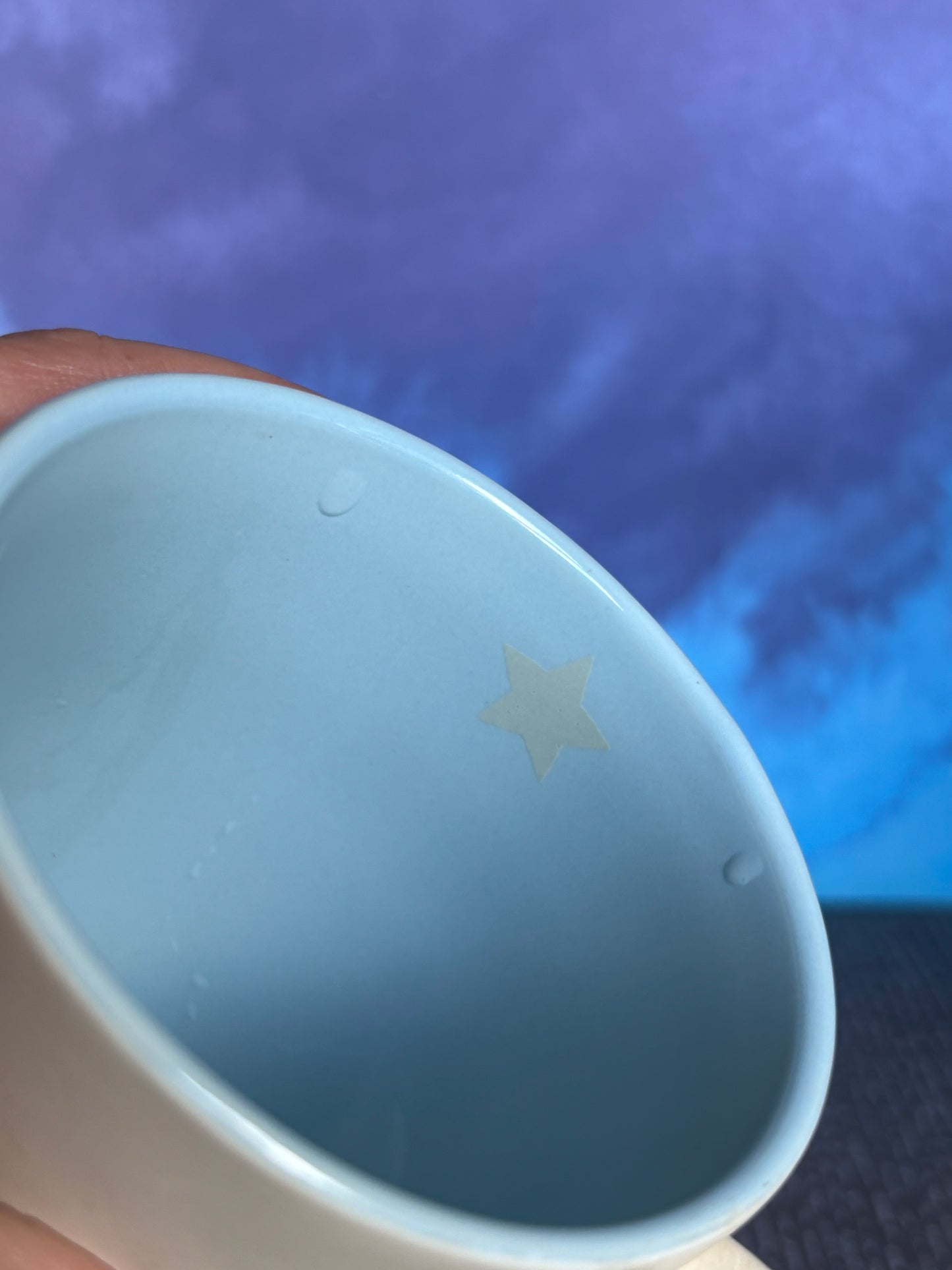 10 oz White/ Blue interior Mug