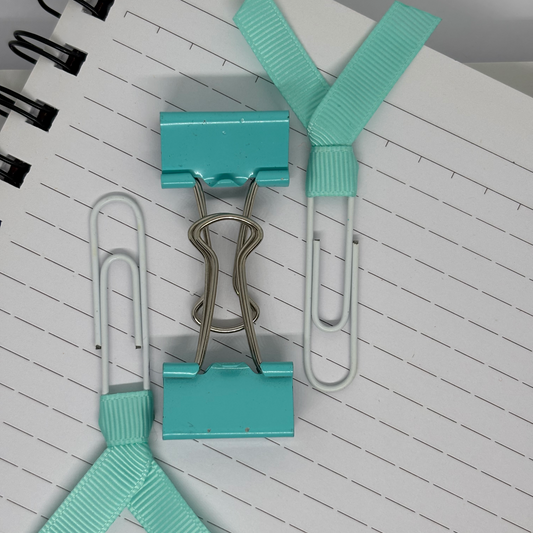 Aqua Ribbon and Clip Set